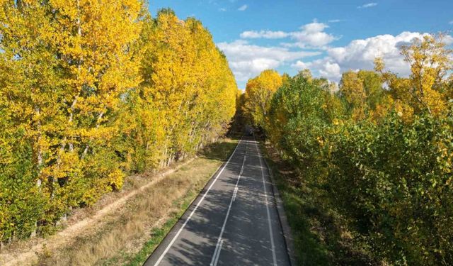 Tokat’ta belediyenin yaprakları temizlemediği parklarda renk cümbüşü oluştu