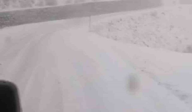 Tunceli’de, kar yağar yağmaz mücadele başladı