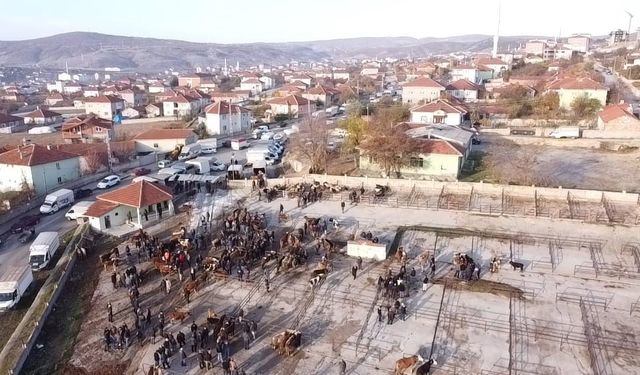 Yozgat’ta 2 aydır kapalı olan hayvan pazarı açıldı