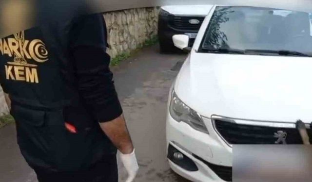 92 kilo bonzai hammaddesi taşıyan 2 şüpheli gözaltına alındı