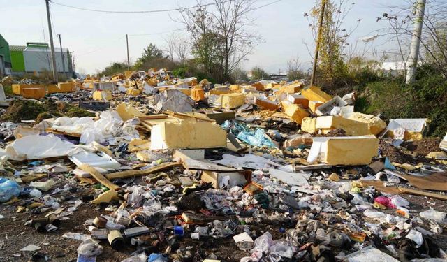 Açık hava çöplüğü: Güveç bile var