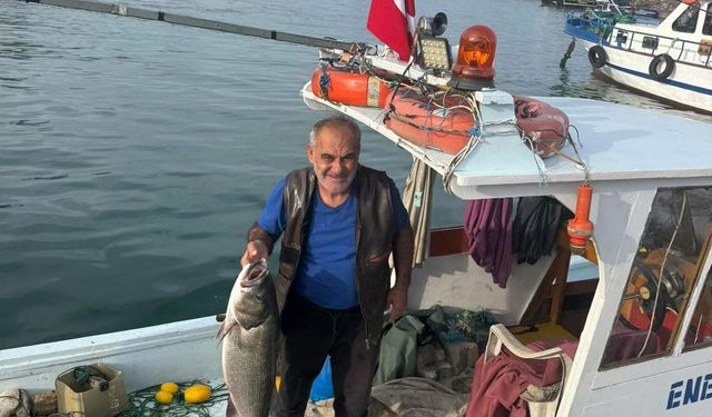 Akçakoca’da balıkçı ağına 10 kiloluk levrek takıldı