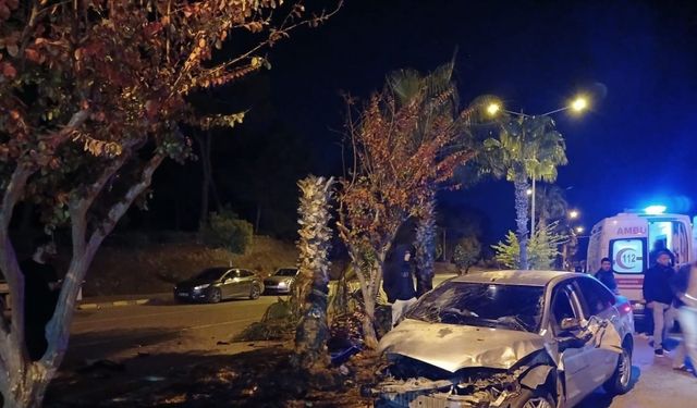 Antalya’da palmiyeye çarpan otomobilin sürücüsü yaralandı