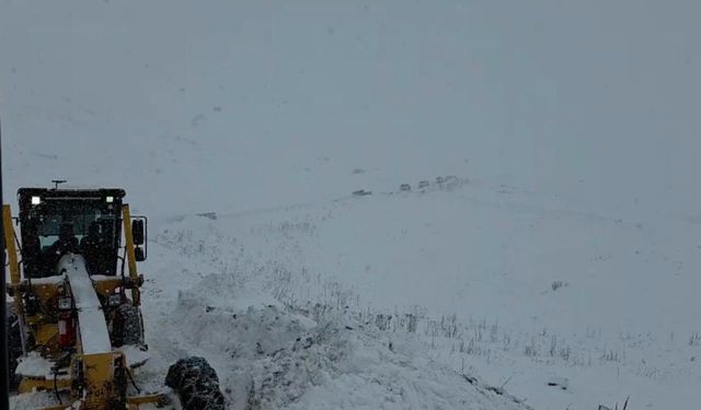 Artvin Valisi Turan Ergün: '3 çobanın çığ altında kaldığı yönünde bir bilgi geldi'