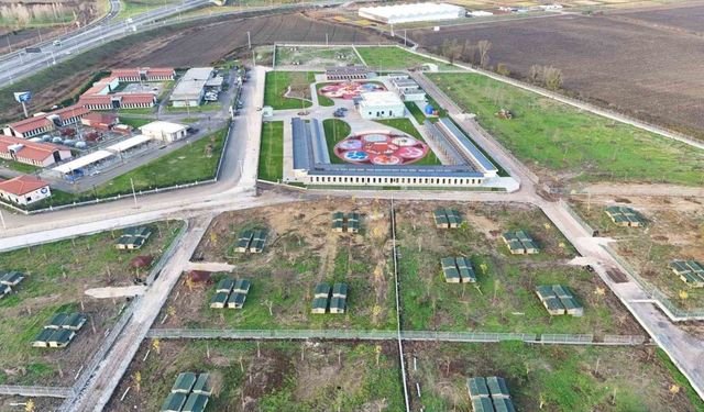Avrupa standartlarında tesis: Sakarya Büyükşehir, sokak hayvanları için yeni bir dünya kurdu