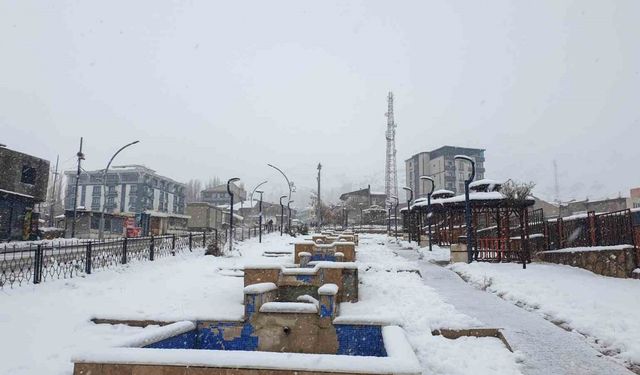 Başkale’de kar kalınlığı 20 santimetreyi geçti