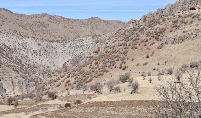 Bestler Dereler bölgesine 30 yıl sonra ilk kez yollar açılıyor