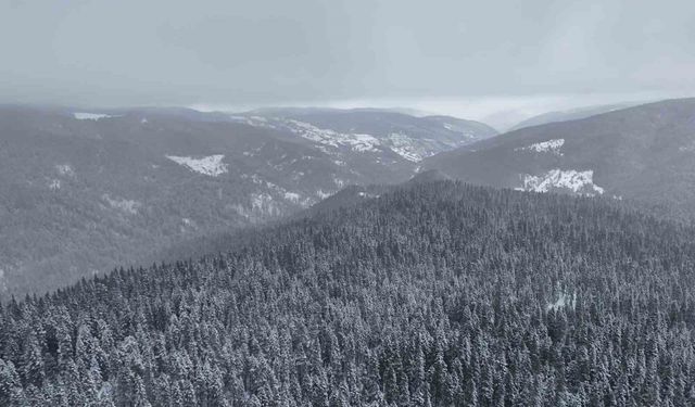 Beyaza bürünen Ilgaz Dağı havadan görüntülendi