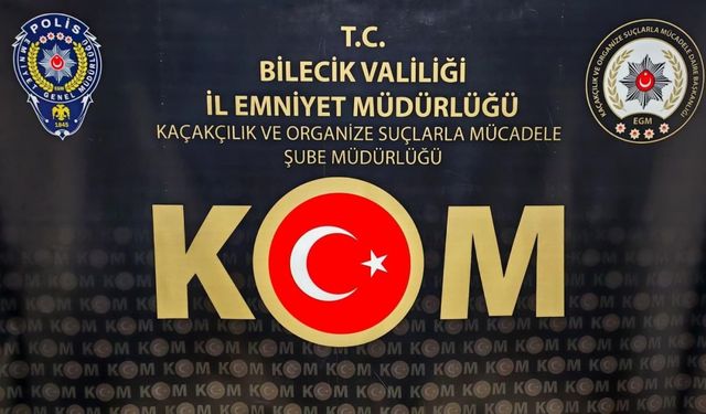Bilecik’te kaçak silah operasyonu: 1 şüpheli tutuklandı