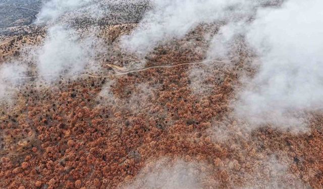 Çankırı’da sis ve kızıla bürünen ormanların buluşması mest etti