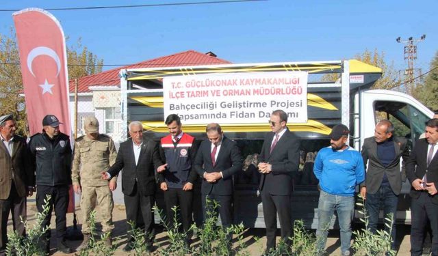 Çiftçilere 4 bin zeytin fidanı dağıtıldı