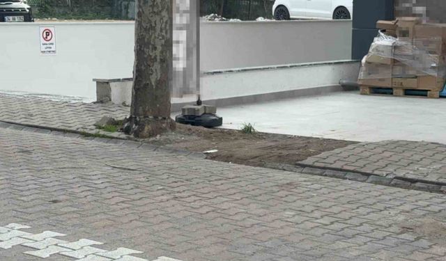 Çöpe atmak için yerden aldığı kargo poşetinin içinden 60 bin dolar çıktı