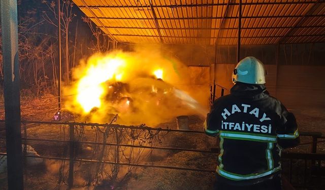 Defne’de samanlık yangını