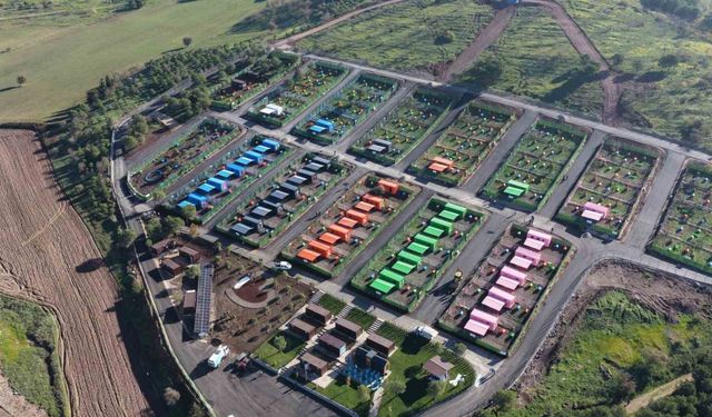 Deprem bölgesinde eskidi, Balıkesir’de can dostlara ev oldu