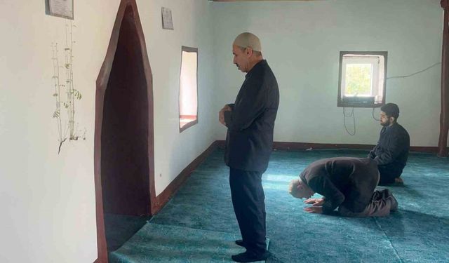 Diyarbakır’da bir caminin mihrap kısmındaki duvardan çıkan bitkinin yaprakları yeşerdi