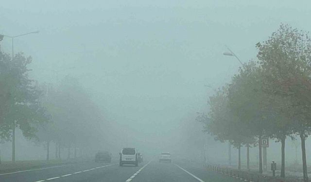 Diyarbakır’da sis etkili oldu