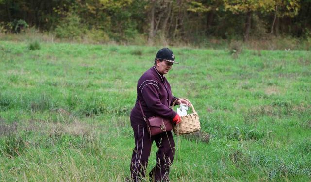 Doğaseverler Ormanya’nın zengin biyolojik çeşitliliğini keşfetti