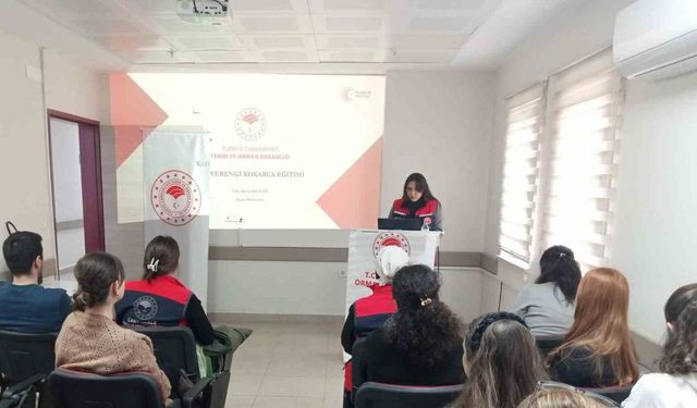 Gelibolu’da kahverengi kokarca ile mücadele eğitimleri devam ediyor