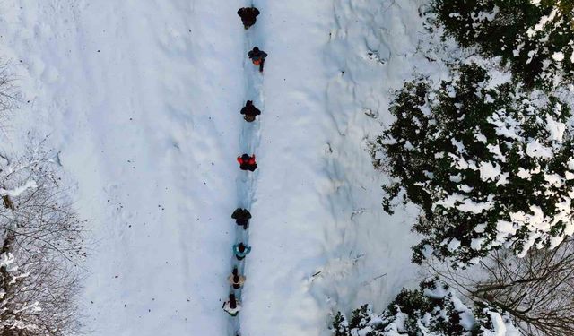 Gümüşhane'de şehrin gürültüsünden kaçanlar Torul'un zirvelerinde buluştu