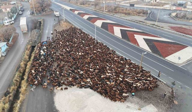 Iğdırlı göçerler, zorlu yolculuğun ardından Iğdır’a ulaştı