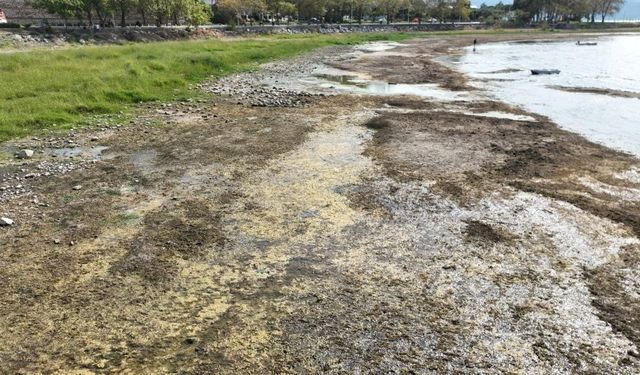 İznik Gölü kuruyor: Cargill’in yer altı sularından yılda 1 milyon metreküpten fazla su çektiği ileri sürülüyor