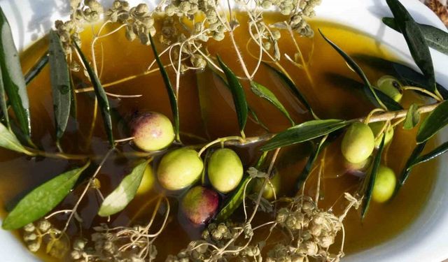 Kekik ve zeytinyağı, doğanın iki şifa kaynağı taşbaskıda bir araya geldi