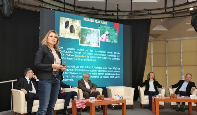 Kestane Büyükşehir’le filizleniyor