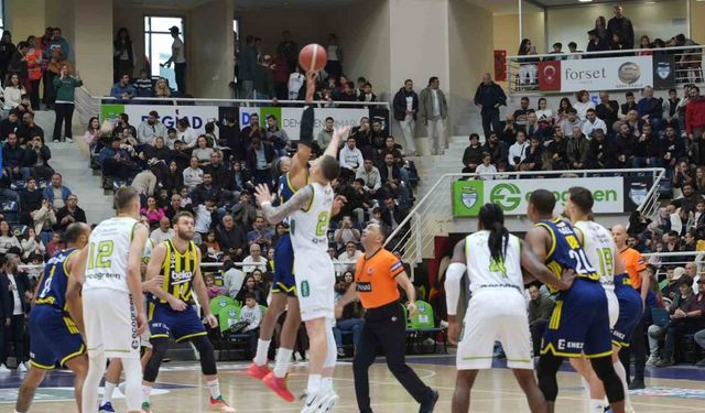 Merkezefendi Belediyesi Basket-Fenerbahçe Beko: 64-87
