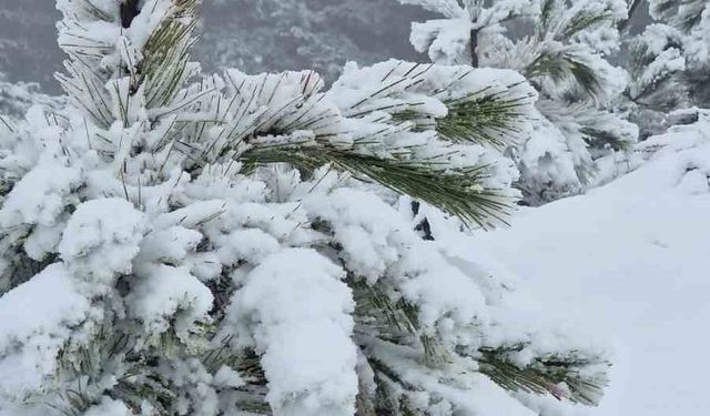 Muğla’ya mevsimin ilk karı yağdı