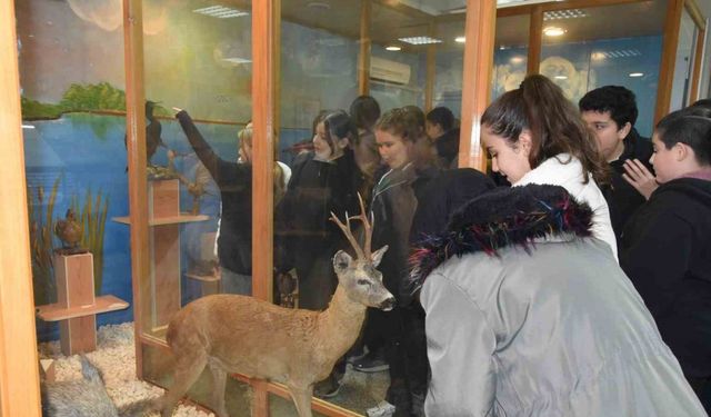 Öğrenciler hayvan müzesini ilgi ile gezdi
