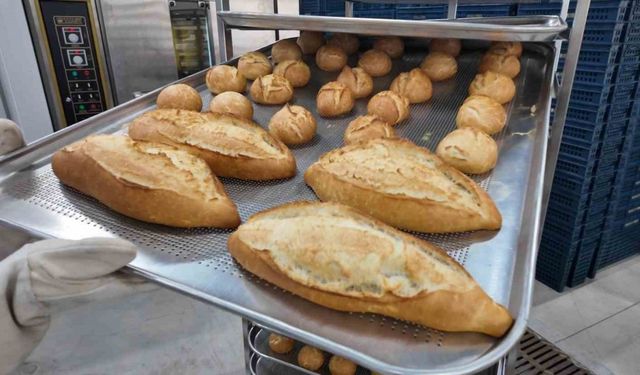 Ordu’da 1 yılda 5 milyon 800 bin halk ekmeği üretildi