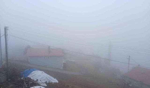 Posof’ta yoğun sis etkiliyor oluyor