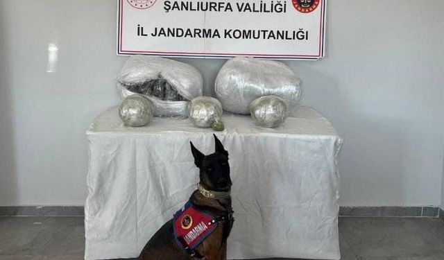 Şanlıurfa’da 25 kilogram uyuşturucu madde ele geçirildi