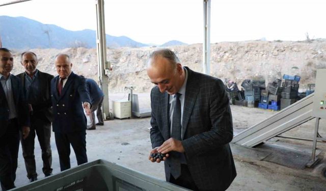 Sarıcakaya zeytinle ön plana çıkıyor