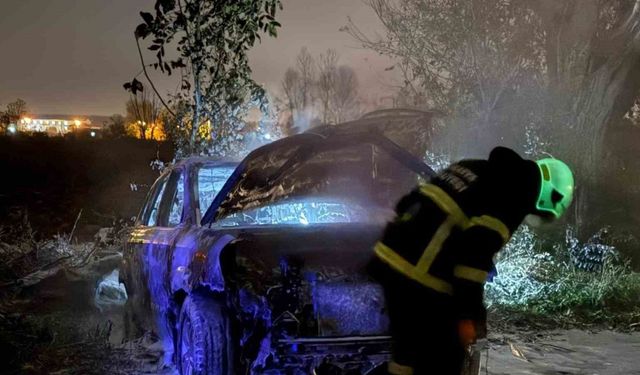 Tarlada park halindeki otomobil alev topuna döndü, geriye demir yığınları kaldı