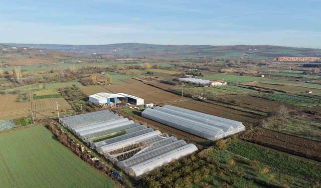 Tekirdağ’da 70 futbol sahası büyüklüğünde sera naylonu dağıtıldı