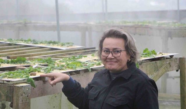 Trabzon’dan dünyaya ’Googlis’