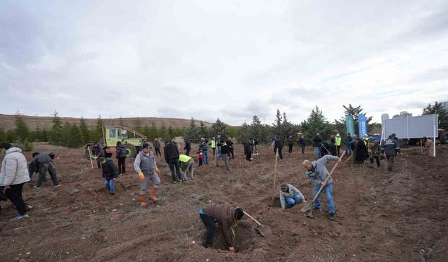 TUSAŞ şehitleri anısına binlerce fidan toprakla buluştu