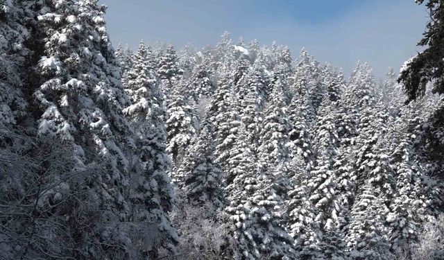 Uludağ’da göz gözü görmüyor