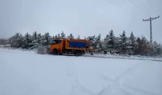 Yozgat'ta karle mücadele çalışmaları sürüyor