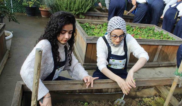 Zeytinburnu’nda ergoterapi öğrencileri engeli olan bireylerle birlikte fide ekti