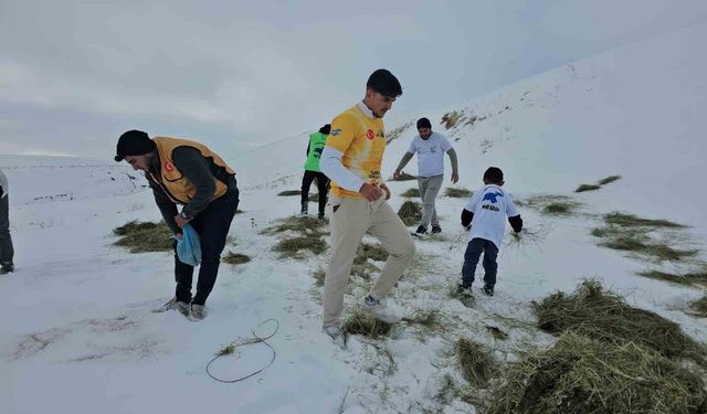 Adilcevaz'da yaban hayvanları unutulmadı: Aktivistlerden Süphan Dağı eteğine yem bıraktı