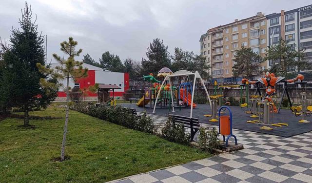 Afyonkarahisar'da beklenen kar yağışı başladı