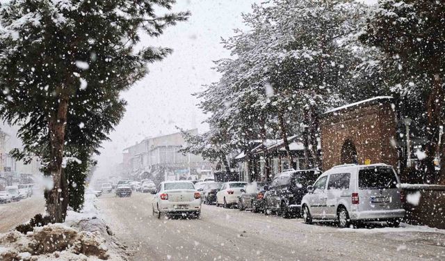 Ahlat'ta yoğun kar yağışı