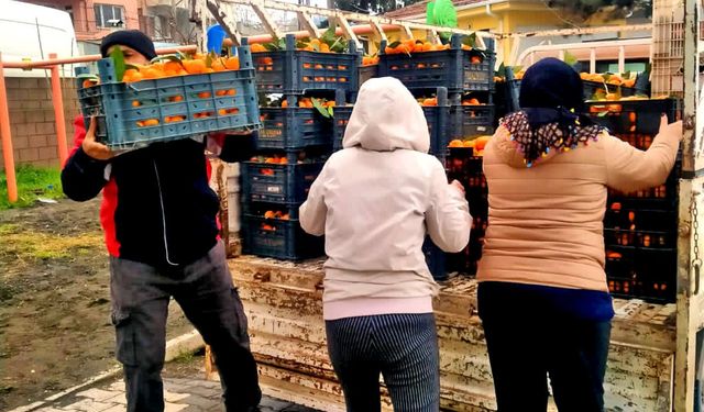 Alaçatı'dan Hatay'a dayanışma köprüsü