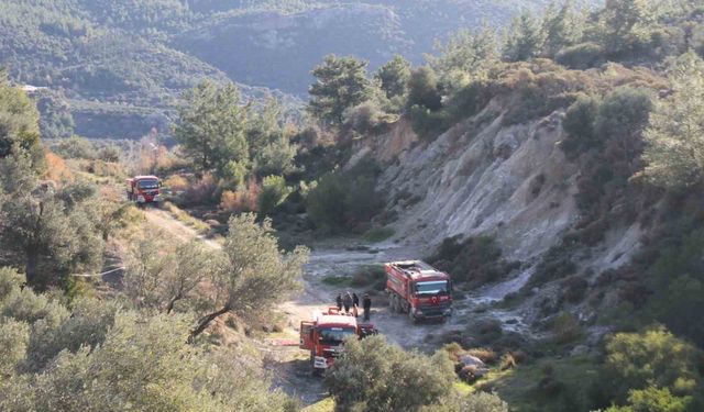 Antalya'daki orman yangınında zararın boyutu gündüz ortaya çıktı: 2 hektar zarar gördü