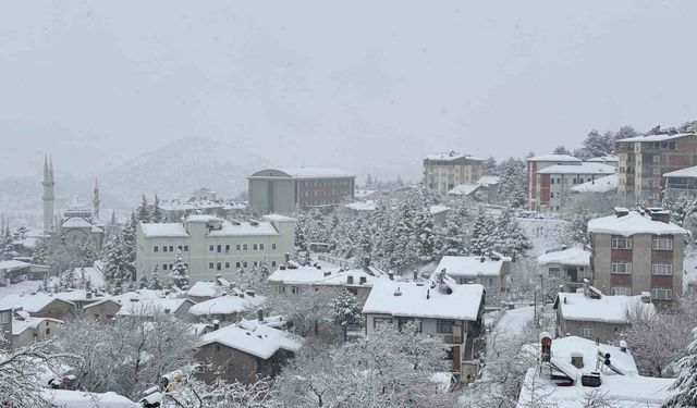 Arapgir beyaza büründü