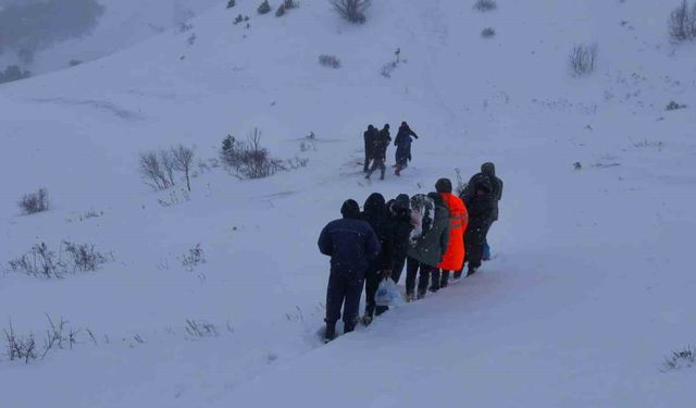 Artvin'de çığ altında kalan çobanları arama çalışmaları sürüyor