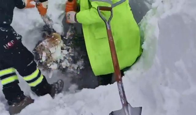 Artvin'de çığ bölgesinde arama kurtarma çalışmaları ikinci günde yeniden başladı