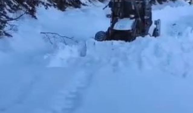 Artvin'de kar nedeniyle 130 köy yolunda ulaşım sağlanamıyor